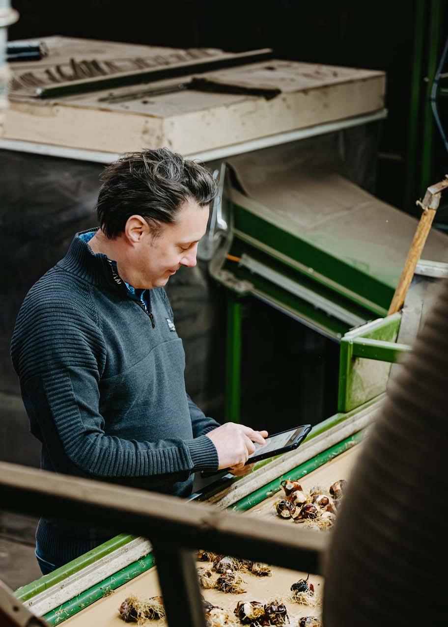 Smart Bulb consultant bekijkt data op tablet bij een lopende band met bollen.