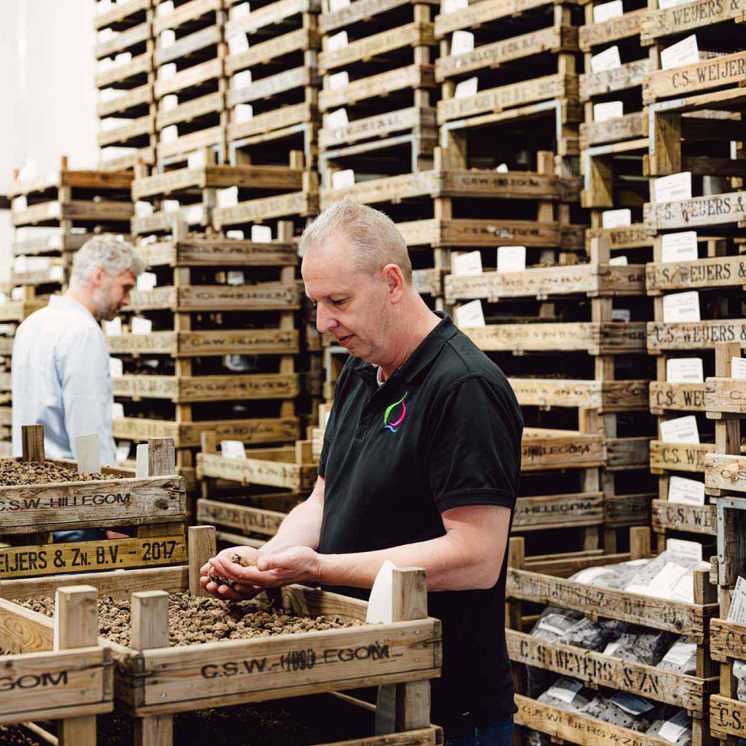 Man staat bij houtenkrat met bollen tussen hoge stapels kratten