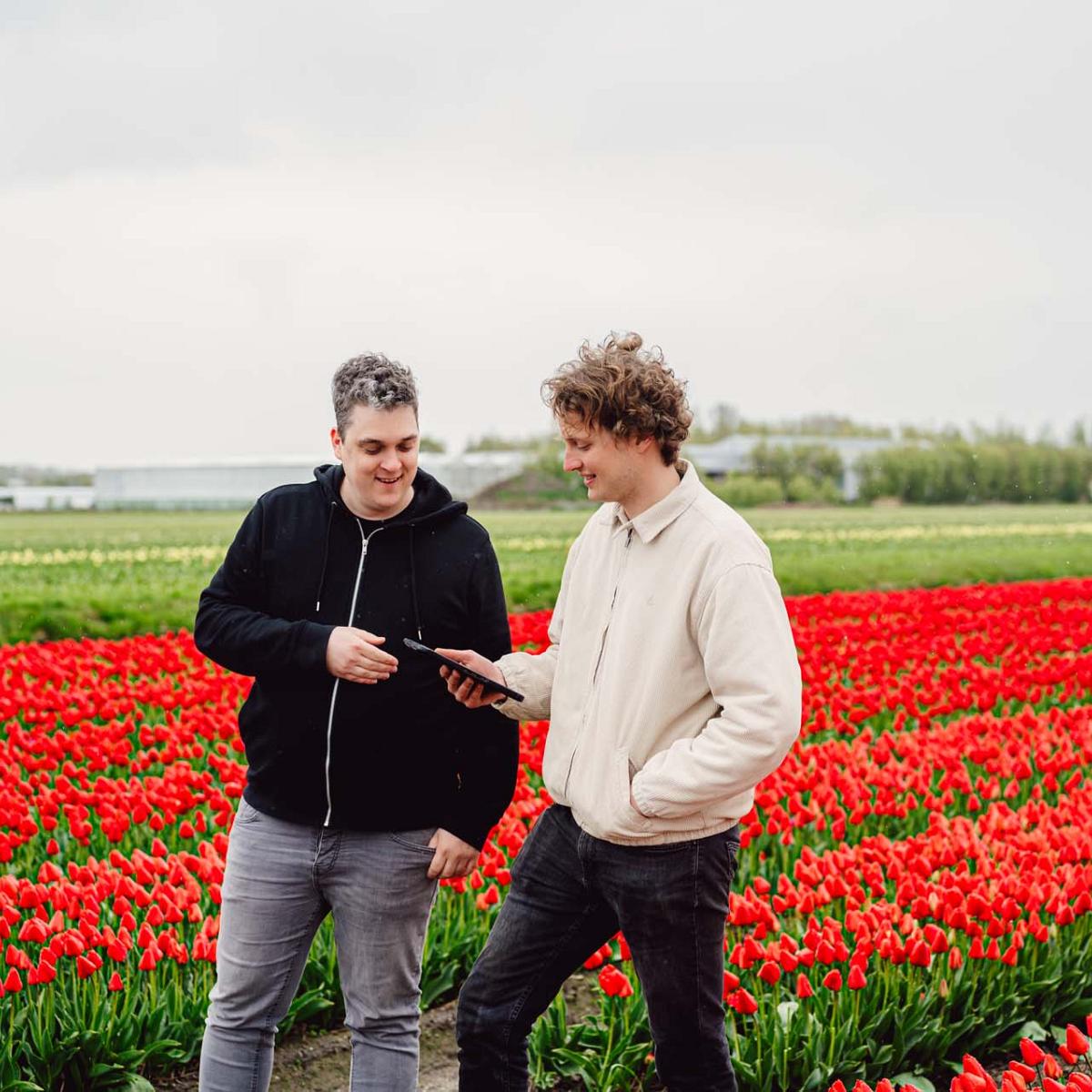 Twee mannen staan in een tulpenveld met rode tulpen en bespreken teeltgegevens op een tablet tijdens veldcontrole.