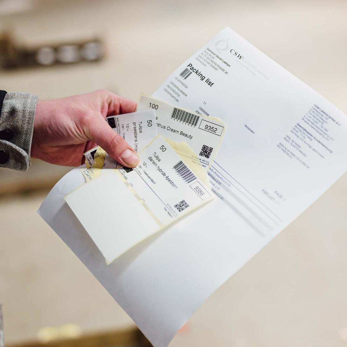 li8 7939 lilian fotografie smart bulb software c.s. weijers hillegom 2024 04 16 verbeterd nr