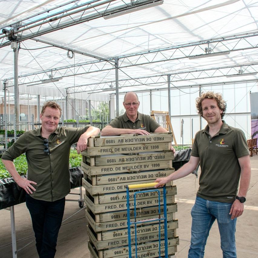 Vrouw aan tafel met JUB Bloembollen-mok, omringd door bloembollenverpakkingen.