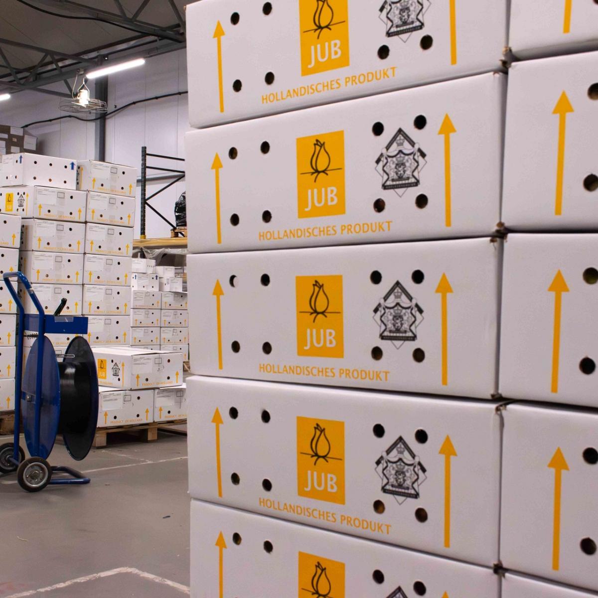 Een magazijn volgestapeld met witte dozen met het JUB-logo en gele pijlen erop. Op de achtergrond staan pallets met dozen, en een blauwe verrijdbare haspel staat op de grond.