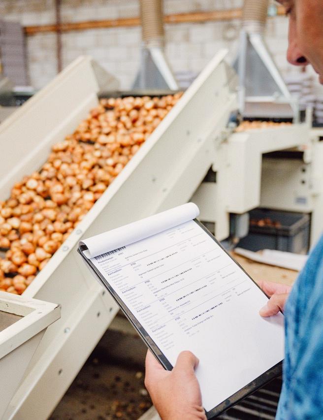 Persoon controleert administratieve gegevens op een formulier naast een lopende band met bloembollen in een productieomgeving.
