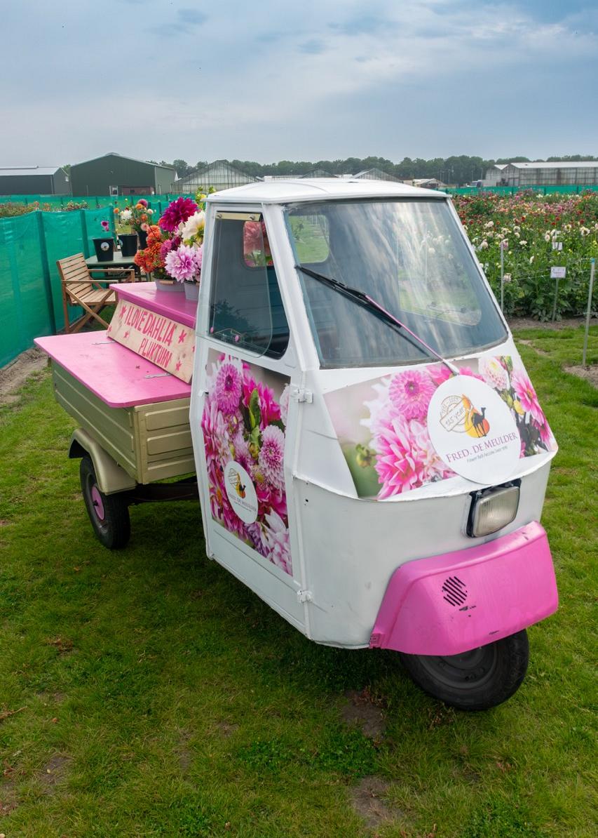 Driewieler met bloemversiering en logo van Fred. de Meulder BV op veld met bloeiende dahlia’s.