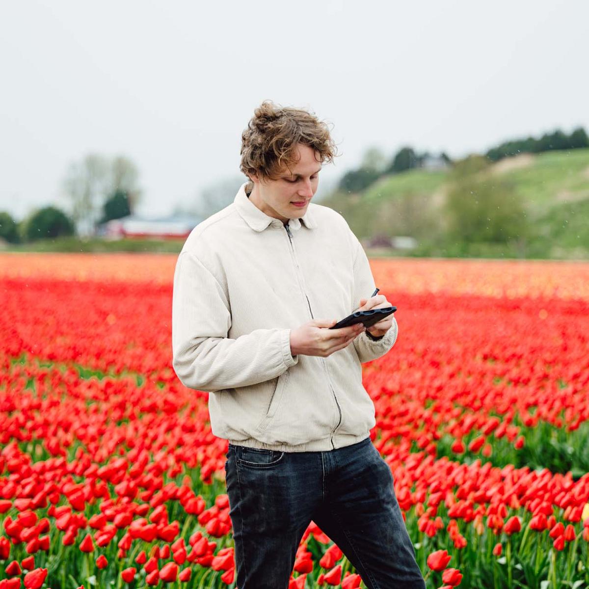 Man met tablet inspecteert bloeiend tulpenveld tijdens veldregistratie.