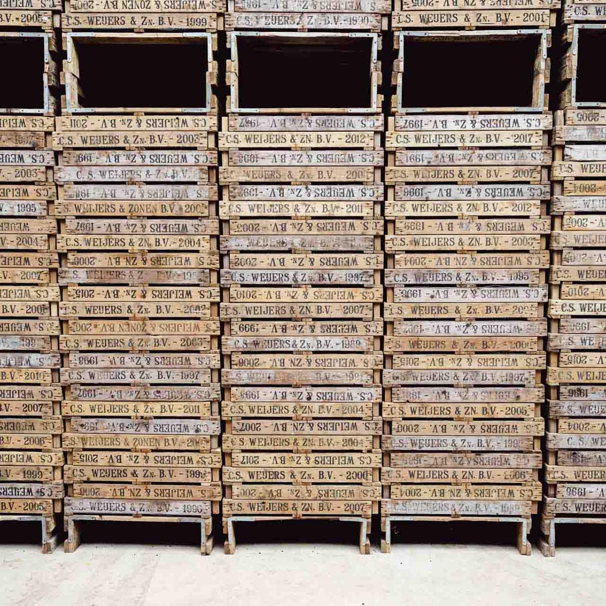 Houten kratten voor bloembollen opgestapeld.
