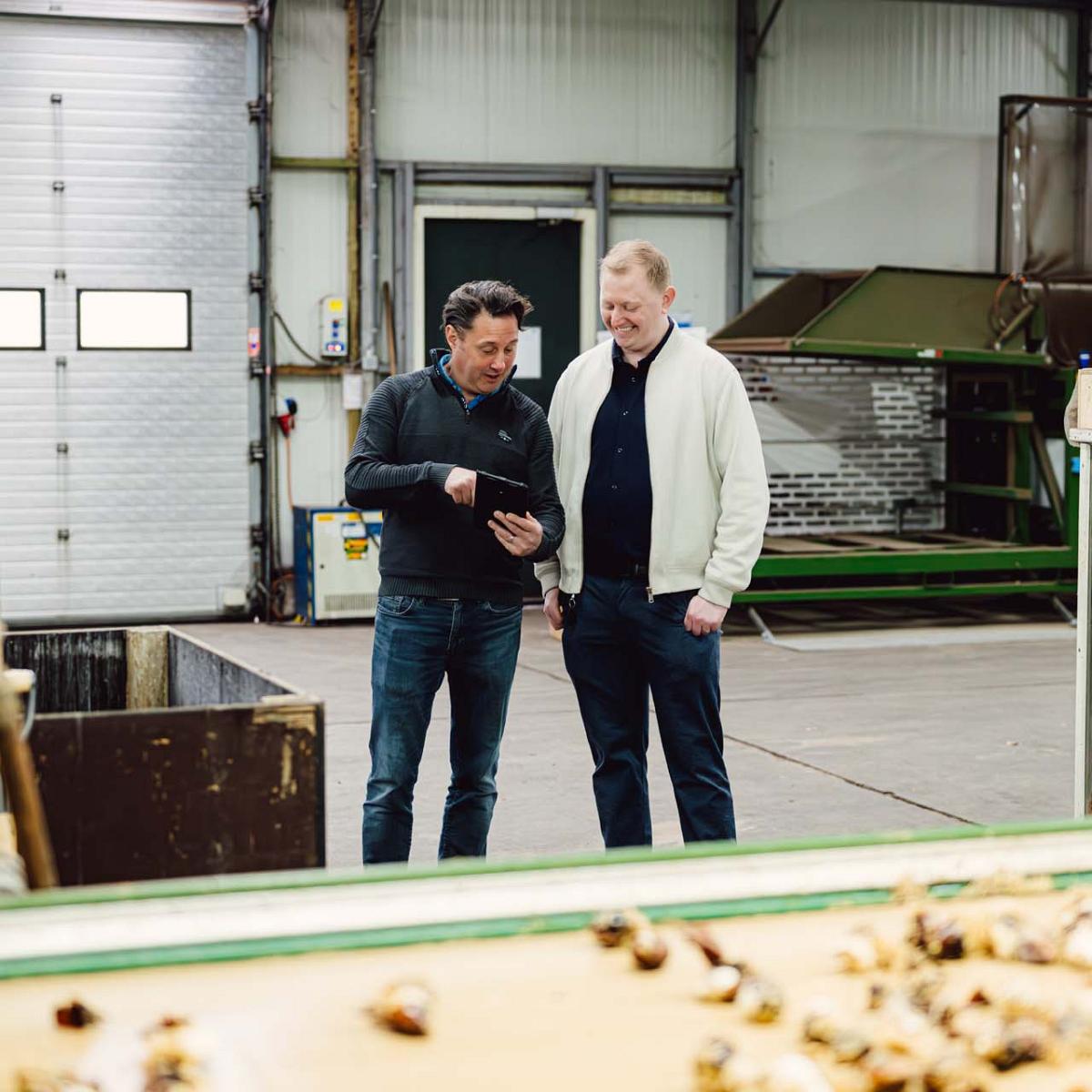 Twee mannen kijken op een tablet met een lopende band met tulpenbollen op de voorgrond.