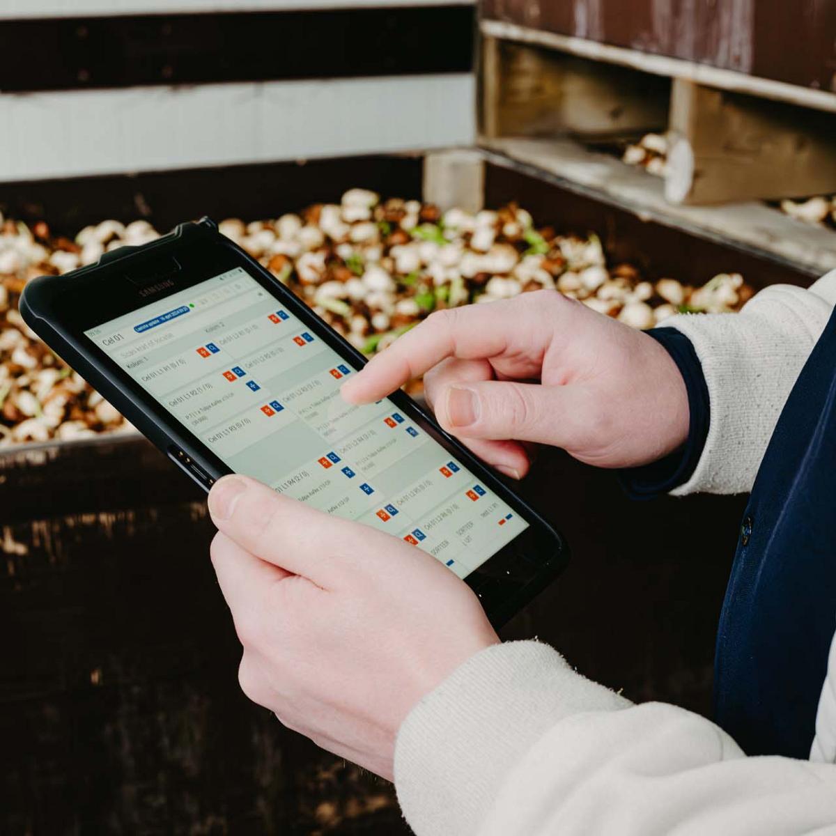 Smart Bulb consultant met tablet in zijn handen toont gegevens van bedrijf.