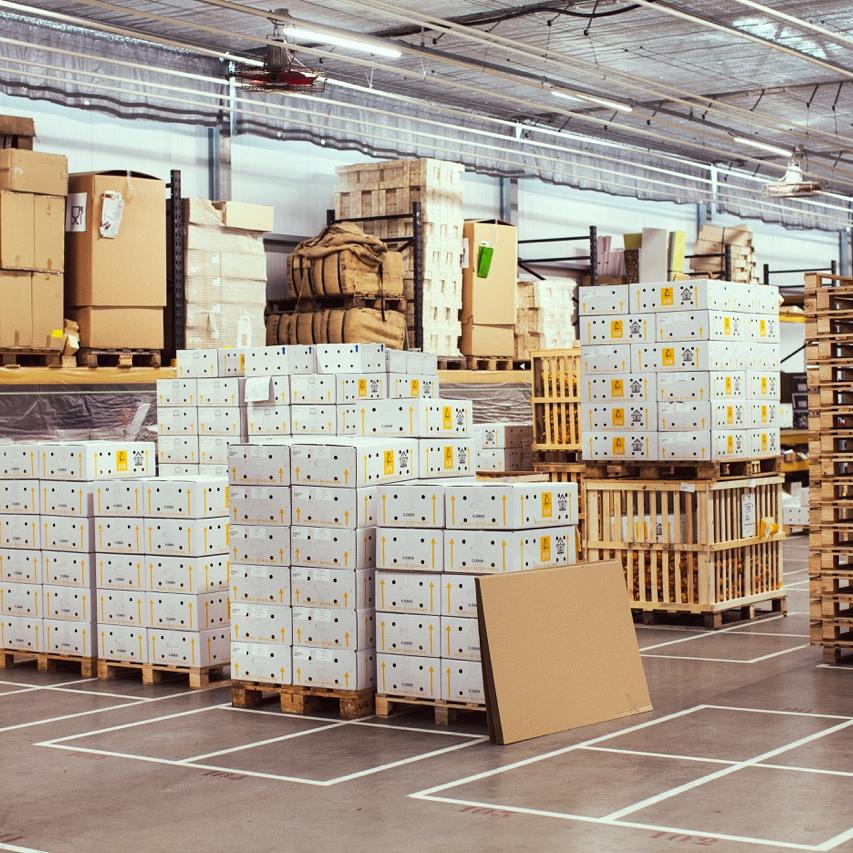 Opgestapelde dozen met bloembollen op pallets in schuur.