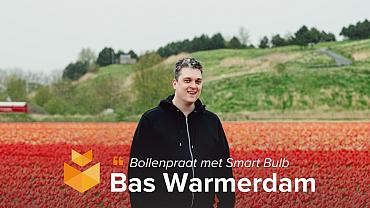blog thumbnail bollenpraat bas v2