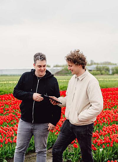 Twee mannen staan lachend in een rood tulpenveld, kijkend naar een tablet. Op de achtergrond velden met bloeiende bloemen en enkele kassen.