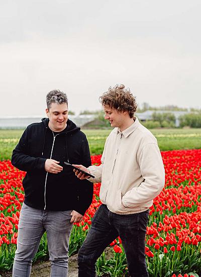 Twee mannen staan lachend in een rood tulpenveld, kijkend naar een tablet. Op de achtergrond velden met bloeiende bloemen en enkele kassen.