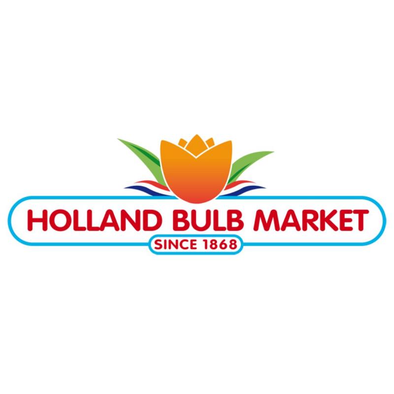 holland bulb market   aangepast