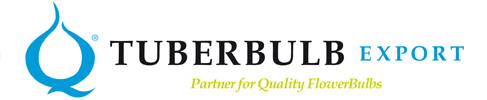 Logo Tuberbulb Export: Illustratie van bloembol in blauw met daarnaast de tekst' Tuberbulb Export Partner for Quality FlowerBulbs