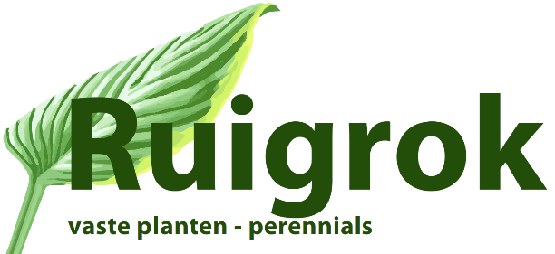 logo ruigrok deel1 15362790 