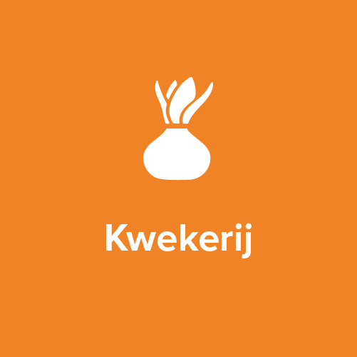 smart bulb werkbord branche icons kwekerij