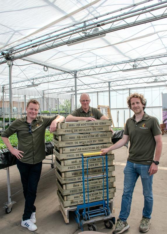 Drie mannen in kas bij stapel houten kisten van Fred. de Meulder BV 1898, tussen jonge planten.